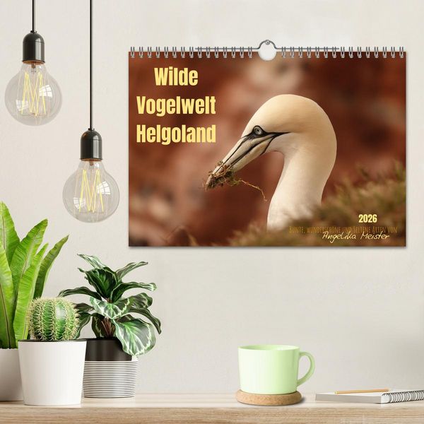 Produktbild: Wilde Vogelwelt Helgoland (Wandkalender 2026 DIN A4 quer), CALVENDO Monatskalender