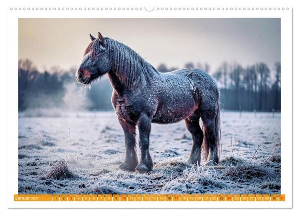 Produktbild: Arbeitspferde in Action (hochwertiger Premium Wandkalender 2027 DIN A2 quer), Kunstdruck in Hochglanz