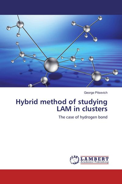 Produktbild: Hybrid method of studying LAM in clusters