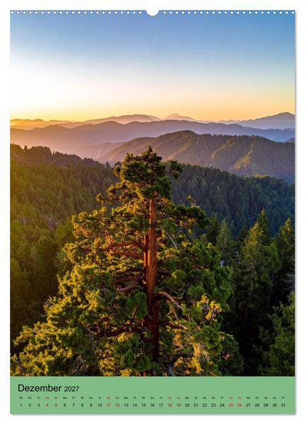 Produktbild: Sequoia Giganten (Wandkalender 2027 DIN A2 hoch), CALVENDO Monatskalender