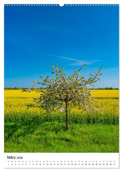 Produktbild: Magdeburg - Die sch&ouml;nsten Momente (Wandkalender 2026 DIN A2 hoch), CALVENDO Monatskalender
