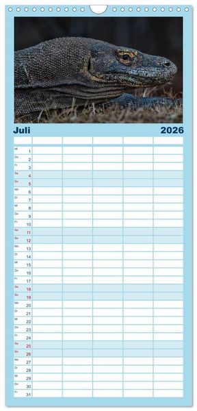 Produktbild: Familienplaner 2026 - Drachen: Geheimnisvolles Tierreich mit 5 Spalten (Wandkalender, 21 x 45 cm) CALVENDO