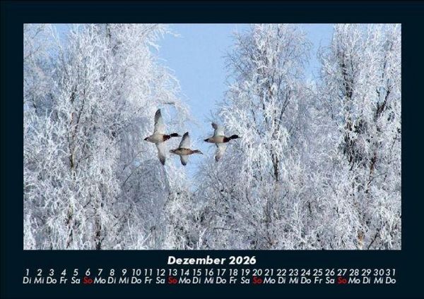 Produktbild: Winterzauber 2026 Fotokalender DIN A5