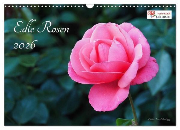 Produktbild: Edle Rosen (Wandkalender 2026 DIN A3 quer), CALVENDO Monatskalender