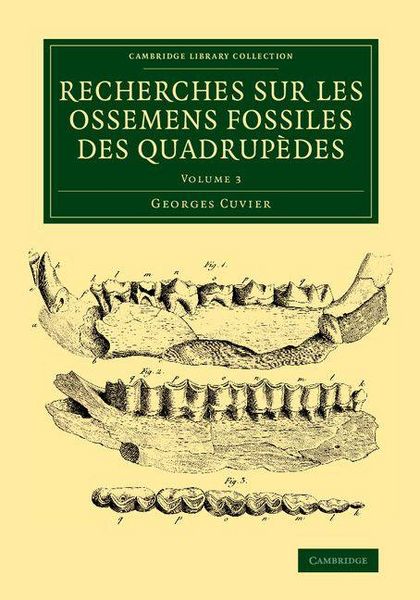 Produktbild: Recherches sur les ossemens fossiles des quadrup&egrave;des - Volume 3