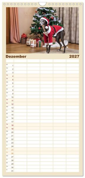 Produktbild: Familienplaner 2027 - Funny Greyhounds - Windhunde mal anders mit 5 Spalten (Wandkalender, 21 x 45 cm) CALVENDO