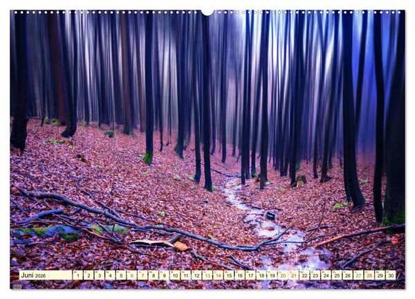 Produktbild: Mystische W&auml;lder - Zauber der Natur (hochwertiger Premium Wandkalender 2026 DIN A2 quer), Kunstdruck in Hochglanz