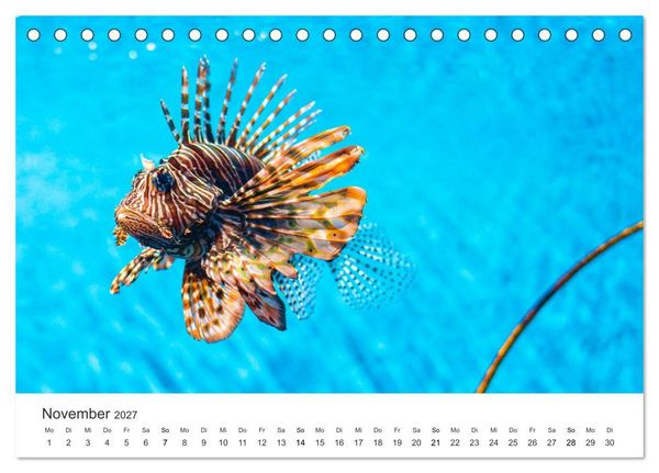Produktbild: Traumhaftes Mauritius (Tischkalender 2027 DIN A5 quer), CALVENDO Monatskalender