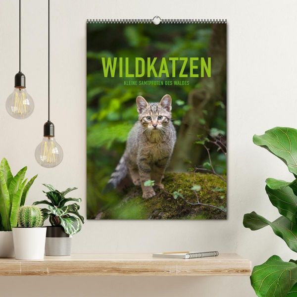 Produktbild: Wildkatzen - Kleine Samtpfoten des Waldes (Wandkalender 2027 DIN A2 hoch), CALVENDO Monatskalender