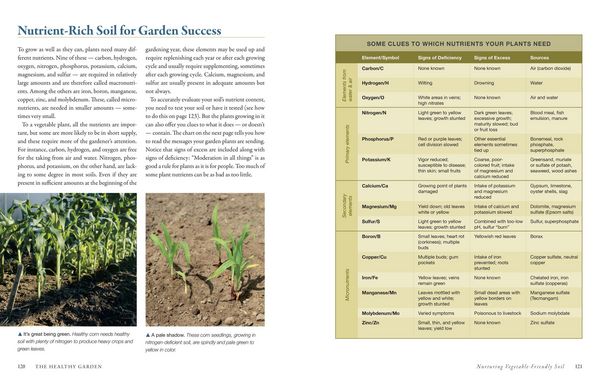 Produktbild: The Vegetable Gardener's Bible, 2nd Edition