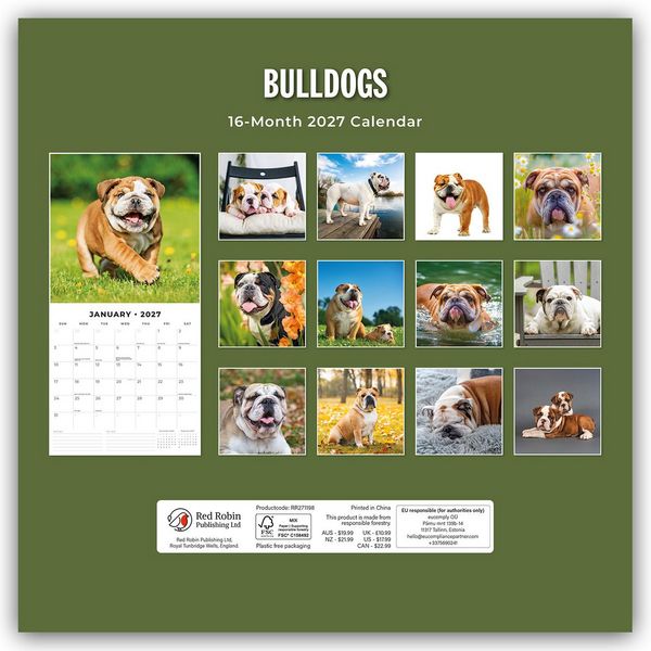 Produktbild: Bulldogs &ndash; Bulldoggen 2027 &ndash; 16-Monatskalender