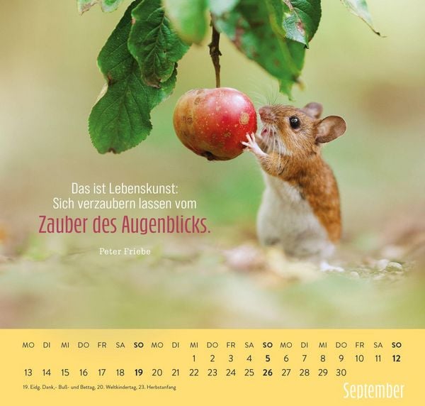 Produktbild: Wandkalender 2027: Kleine Gl&uuml;cksbringer f&uuml;r dein Jahr