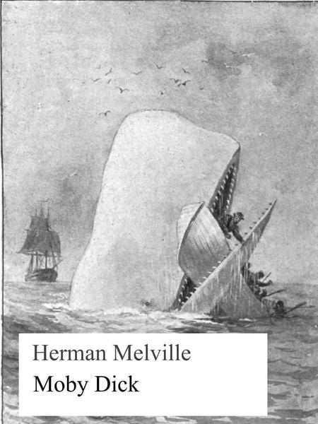 Produktbild: Moby Dick