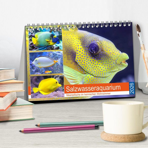 Produktbild: Salzwasseraquarium. Meeresfische im heimischen Wohnzimmer (Tischkalender 2026 DIN A5 quer), CALVENDO Monatskalender