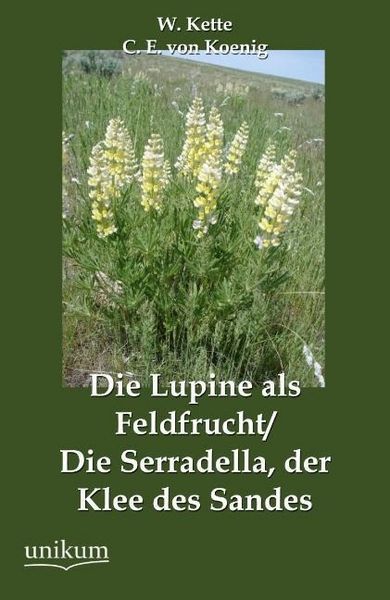 Produktbild: Kette, W: Lupine als Feldfrucht/Die Serradella, der Klee des