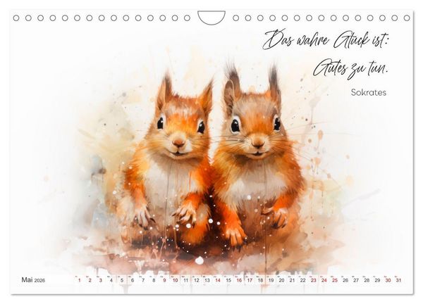 Produktbild: MOTIVATION Spr&uuml;che mit s&uuml;&szlig;en Tierkindern (Wandkalender 2026 DIN A4 quer), CALVENDO Monatskalender
