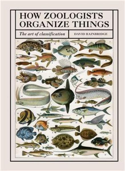 Produktbild: How Zoologists Organize Things