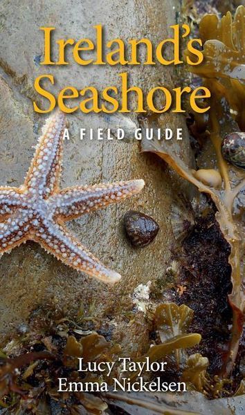 Produktbild: Ireland's Seashore