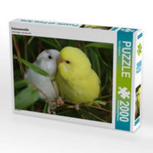 CALVENDO Puzzle Schmusewellis | 2000 Teile Lege-Größe 90 × 67 cm Foto-Puzzle für glückliche Stunden