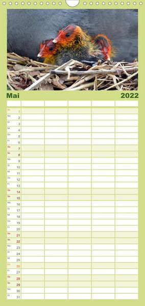Produktbild: Familienplaner Die lieben Kleinen ... Tierkinder einfach zum Knuddeln (Wandkalender 2022 , 21 cm x 45 cm, hoch)
