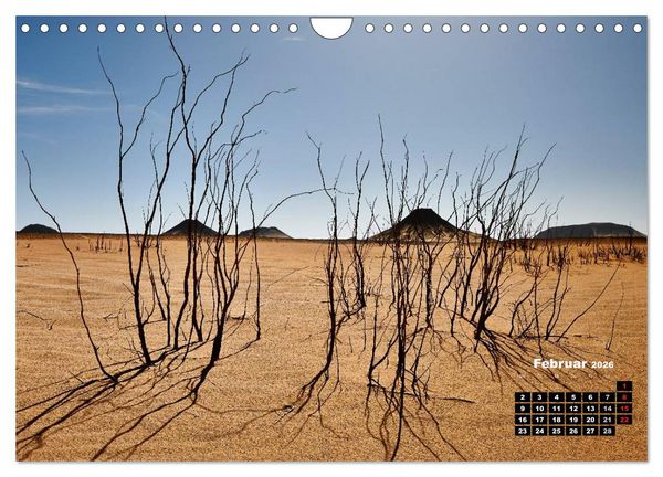 Produktbild: &Auml;gypten &ndash; westliche W&uuml;sten (Wandkalender 2026 DIN A4 quer), CALVENDO Monatskalender