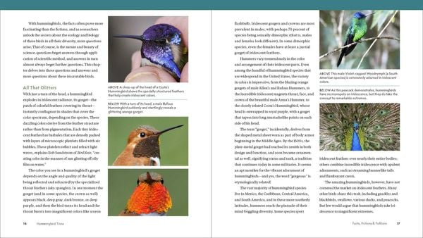 Produktbild: The Hummingbird Handbook