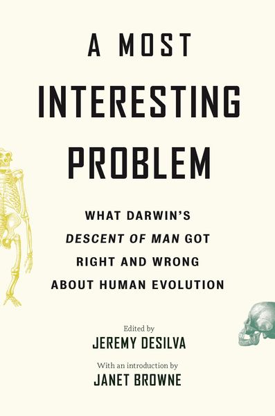 Produktbild: A Most Interesting Problem