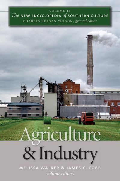 Produktbild: The New Encyclopedia of Southern Culture