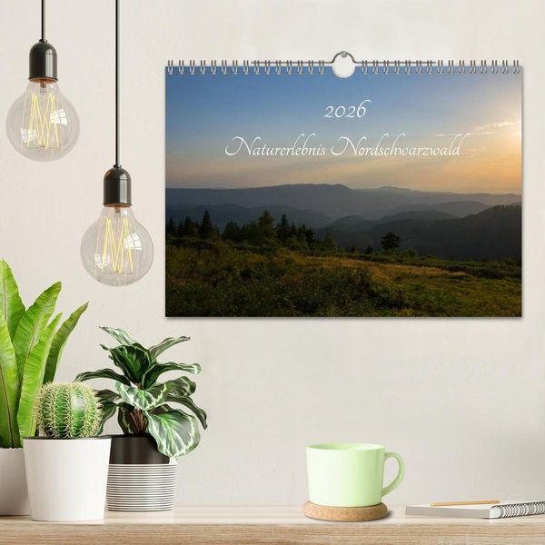 Produktbild: Naturerlebnis Nordschwarzwald (Wandkalender 2026 DIN A4 quer), CALVENDO Monatskalender