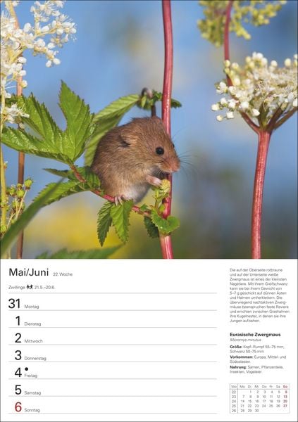 Produktbild: Heimische Tiere Wochenplaner 2027 - 53 faszinierende Fotografien