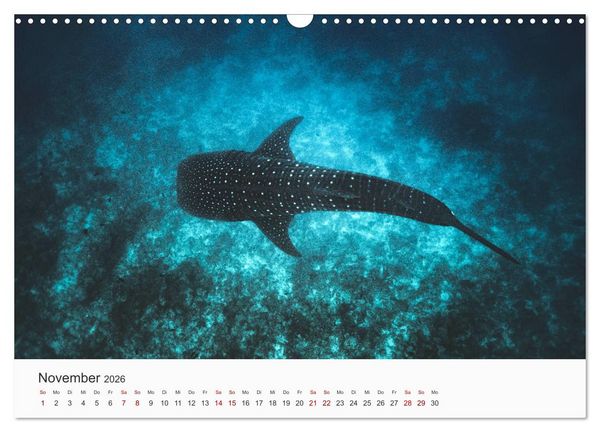 Produktbild: Malediven - Die sch&ouml;nsten Str&auml;nde der Welt. (Wandkalender 2026 DIN A3 quer), CALVENDO Monatskalender