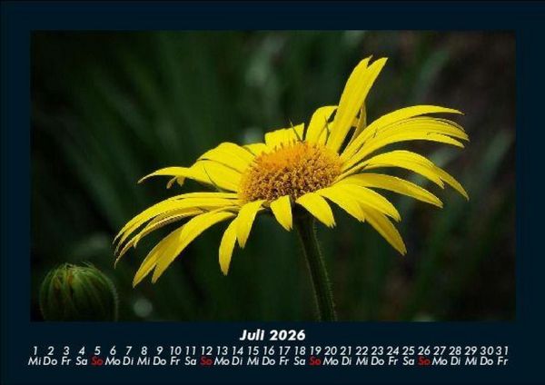 Produktbild: Blumentr&auml;ume 2026 Fotokalender DIN A5