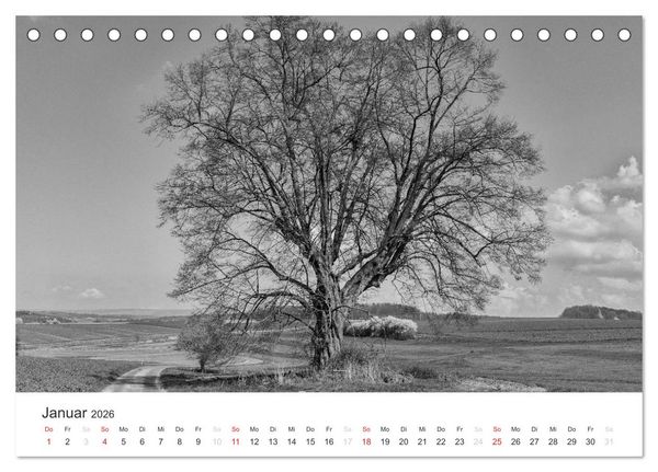 Produktbild: B&auml;ume - Natursch&ouml;nheiten in schwarz-wei&szlig; (Tischkalender 2026 DIN A5 quer), CALVENDO Monatskalender