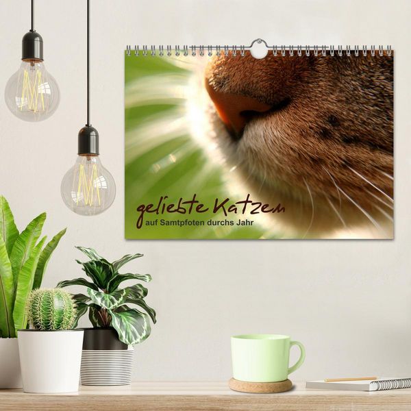 Produktbild: geliebte Katzen - auf Samtpfoten durchs Jahr (Wandkalender 2026 DIN A4 quer), CALVENDO Monatskalender