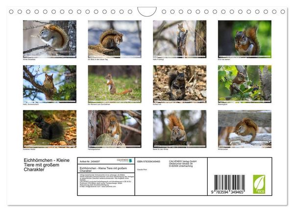 Produktbild: Eichh&ouml;rnchen - Kleine Tiere mit gro&szlig;em Charakter (Wandkalender 2027 DIN A4 quer), CALVENDO Monatskalender
