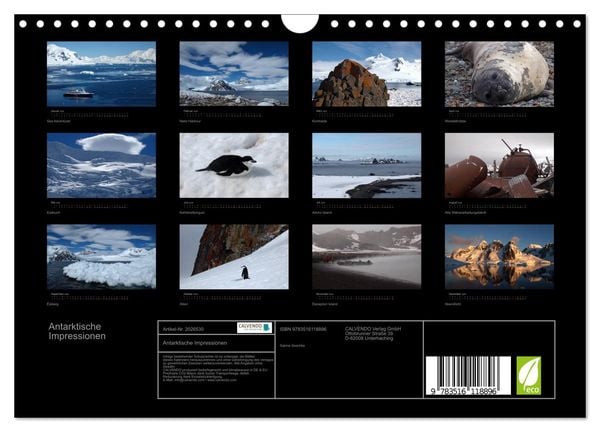 Produktbild: Antarktische Impressionen (Wandkalender 2026 DIN A4 quer), CALVENDO Monatskalender
