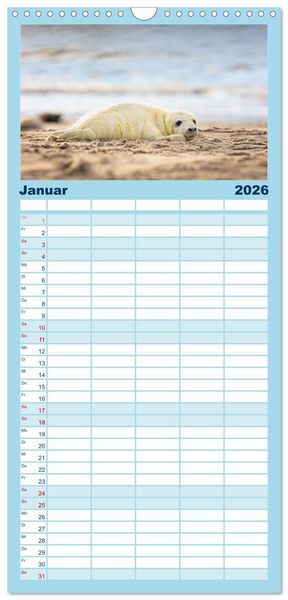 Produktbild: Familienplaner 2026 - Junge Kegelrobben mit 5 Spalten (Wandkalender, 21 x 45 cm) CALVENDO