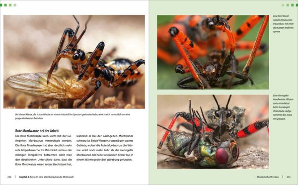 Produktbild: Extreme Wildlife-Makrofotografie
