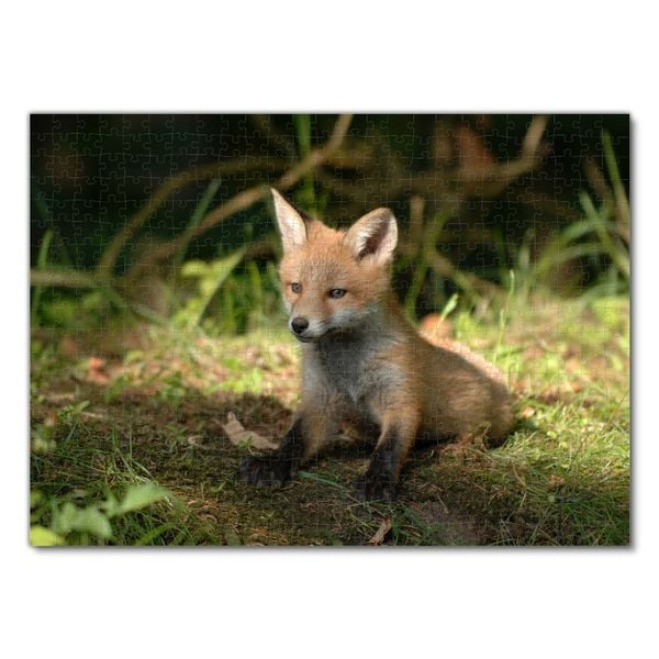 Produktbild: Lais Puzzle Fuchs 500 Teile