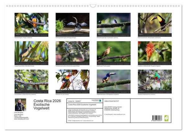 Produktbild: Costa Rica 2026 Exotische Vogelwelt (Wandkalender 2026 DIN A2 quer), CALVENDO Monatskalender