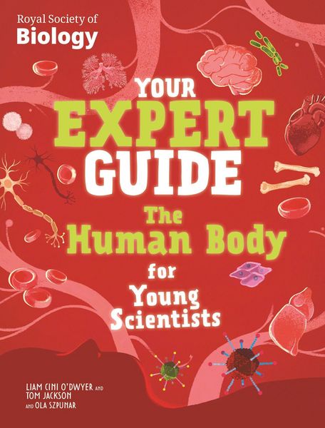 Produktbild: Your Expert Guide: The Human Body for Young Scientists