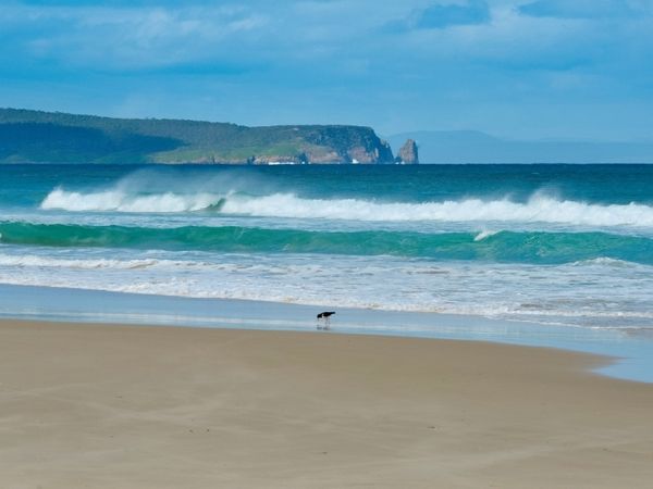 Produktbild: CALVENDO Puzzle Bruny Island, Tasmania | 1000 Teile Lege-Gr&ouml;&szlig;e 64x48cm Foto-Puzzle f&uuml;r gl&uuml;ckliche Stunden