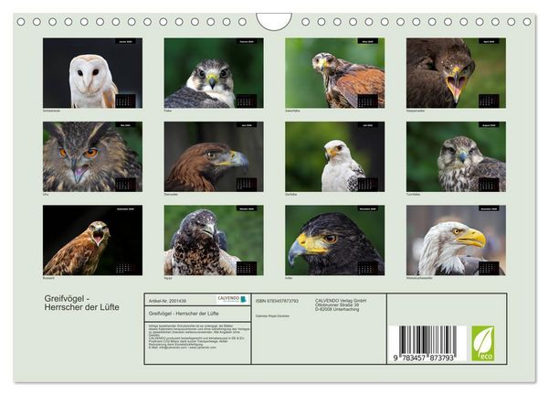 Produktbild: Greifv&ouml;gel - Herrscher der L&uuml;fte (Wandkalender 2026 DIN A4 quer), CALVENDO Monatskalender