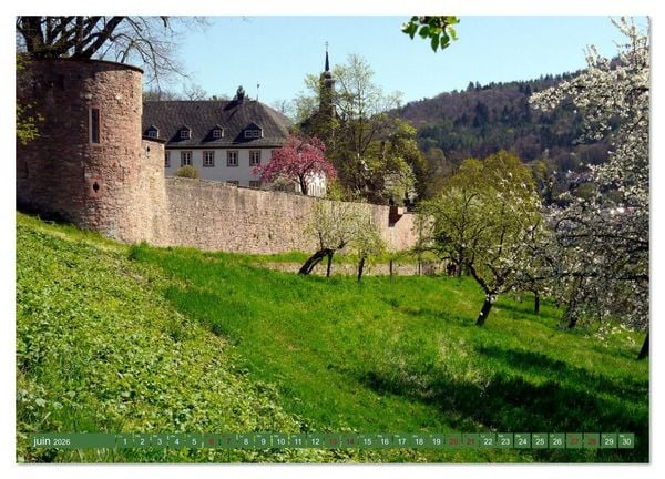 Produktbild: Magnifique Heidelberg (Calendrier mural 2026 DIN A2 vertical) calendrier de bureau
