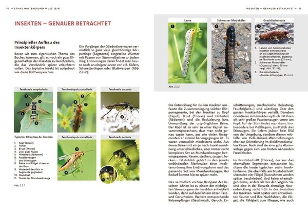 Produktbild: Wildbienen haben es auch nicht leicht