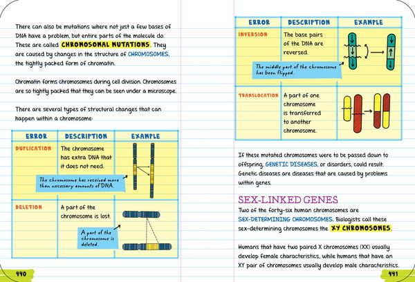Produktbild: Everything You Need to Ace Biology in One Big Fat Notebook