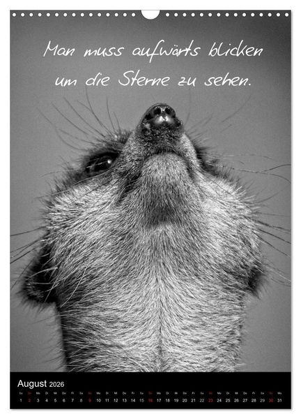 Produktbild: Kluge Spr&uuml;che in Schwarz-Wei&szlig; (Wandkalender 2026 DIN A3 hoch), CALVENDO Monatskalender