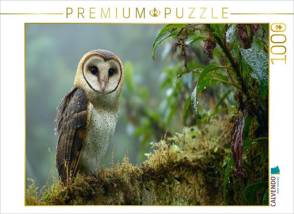 Produktbild: CALVENDO Puzzle Seltene Rotfu&szlig;-Eule im Regenwald | 1000 Teile Lege-Gr&ouml;&szlig;e 64x48cm Foto-Puzzle f&uuml;r gl&uuml;ckliche Stunden