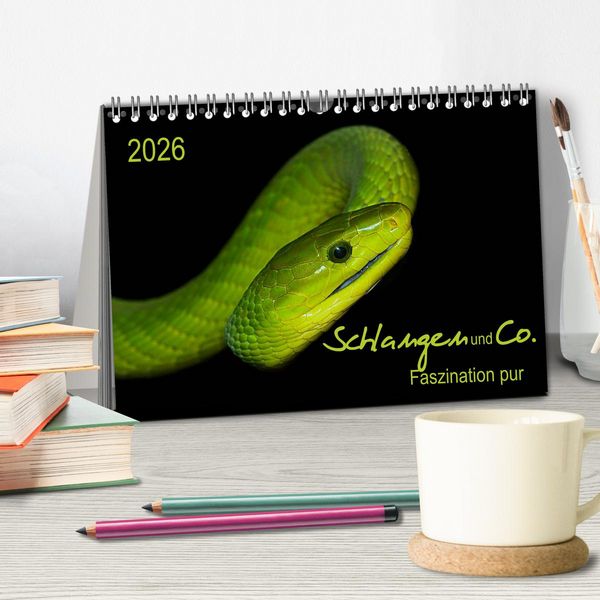 Produktbild: Schlangen und Co. - Faszination pur (Tischkalender 2026 DIN A5 quer), CALVENDO Monatskalender