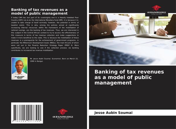 Produktbild: Banking of tax revenues as a model of public management